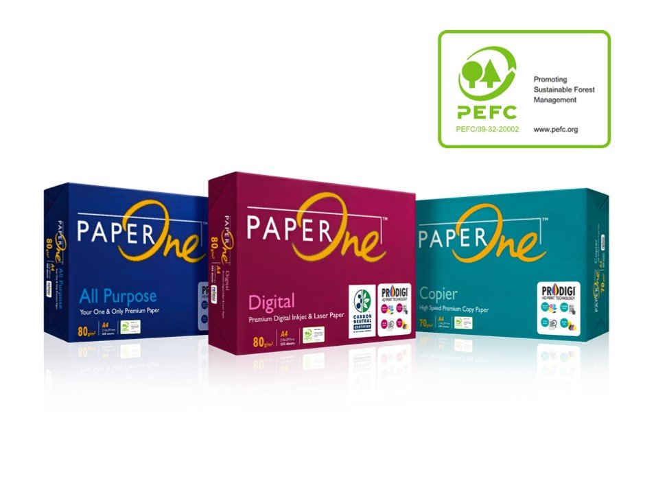 greener future the evolution of sustainability trends in papermaking 02